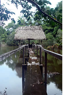 In een van de lagunes is er een bericht van de waarnemingspost, waar u kunt vogels kijken of te wachten tot enkele krokodillen om zichzelf te laten zien